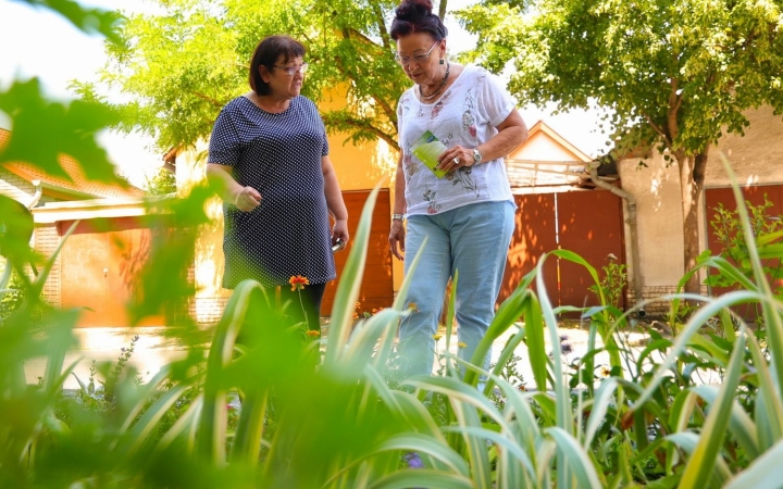 Városi vadvirágos parcella: az élő példa