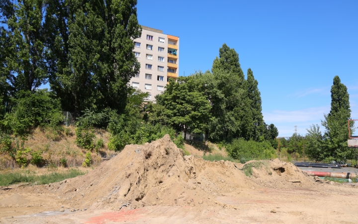 Új élet a régi Bánkiban – közösségi kertet hoznak létre az udvaron