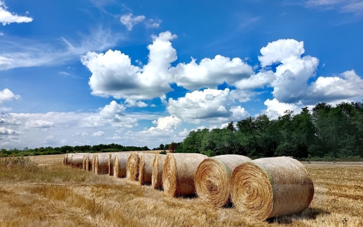 Újabb hőhullám közelít, a hét végére tikkasztó idő lehet!