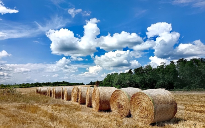 Újabb hőhullám közelít, a hét végére tikkasztó idő lehet!