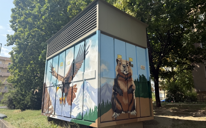 A sas leszállt, a mormota pedig mosolyog