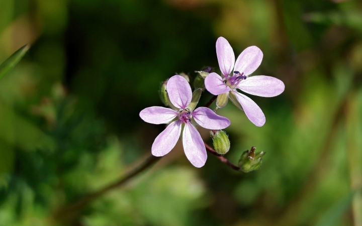 A hét végére megszűnik a hőség