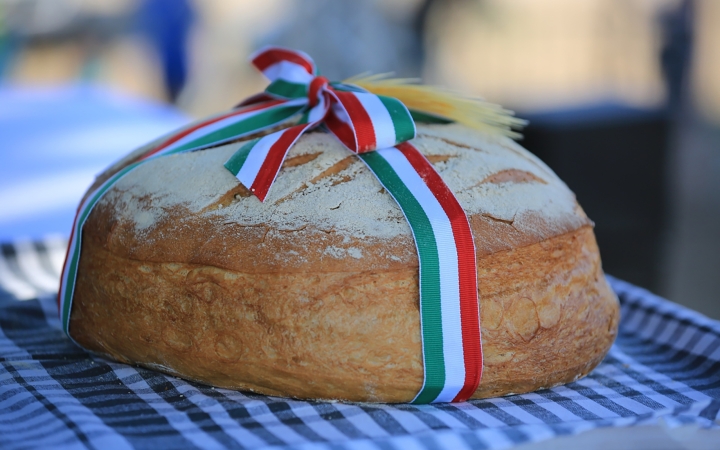 Ünnepi forgatag a kúriában