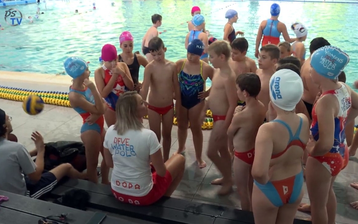 DSTV: készül az utánpótlás