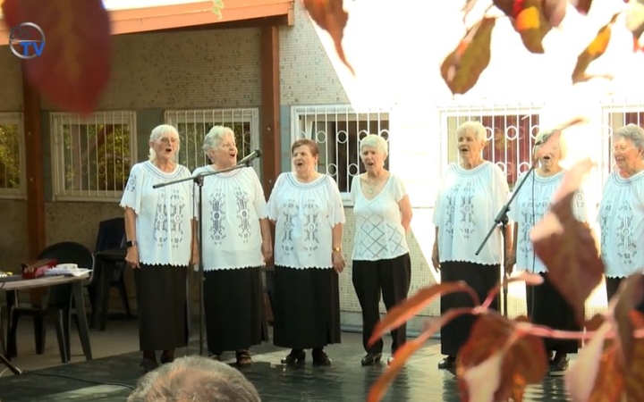 DSTV: dalosok randevúja az MMK-ban