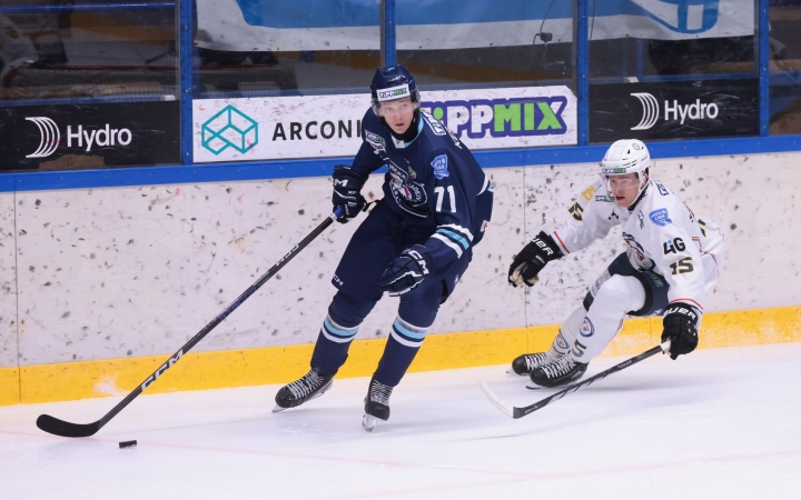 Fiatal csatárok az Acélbikáknál