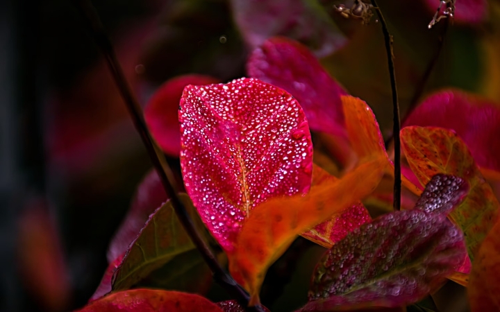 Változékony, de nyárias napokkal kezdődik az ősz