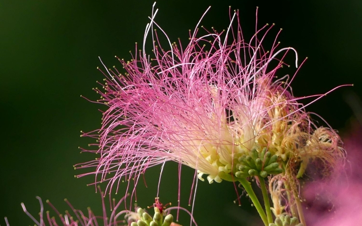 Nyárias nyitány, változékony folytatás