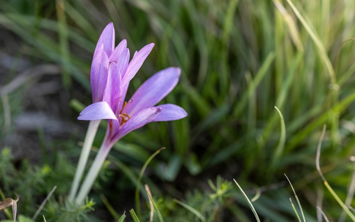 Nyárias nyitány után igazi évszakváltó hét vár ránk