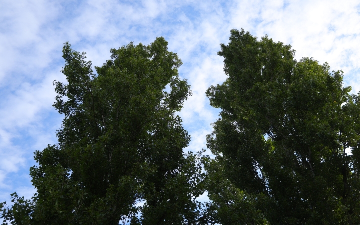 Az őszi ciklussal folytatódik a fotópályázat