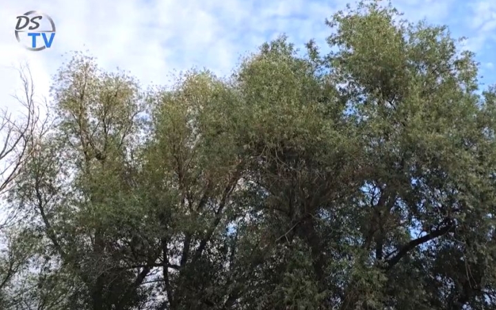 DSTV: folytatódik a fotópályázat