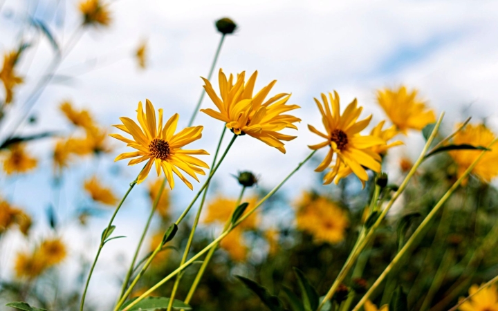 Hűvös reggelek, változékony napok