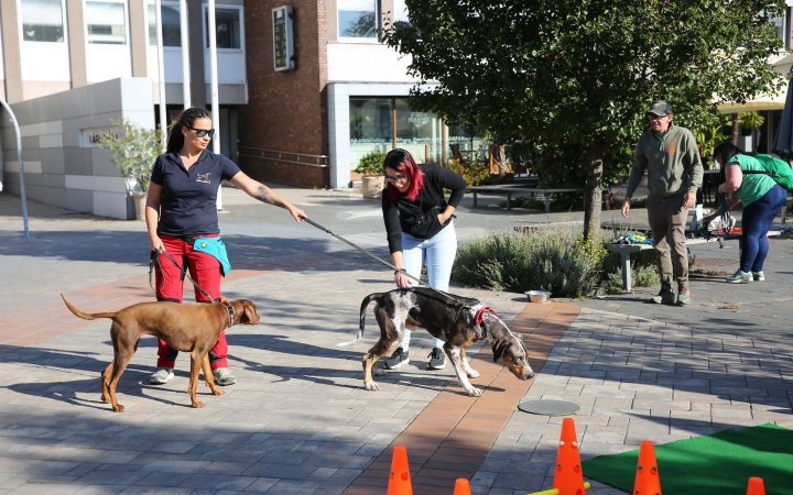 Újra nyílt napot tart a LEAF SE