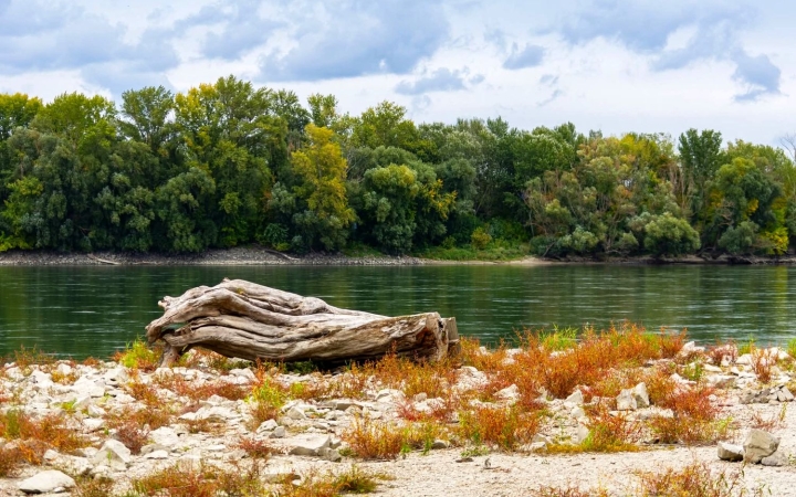 Szeles nyitány után csöndes, napos őszi idő