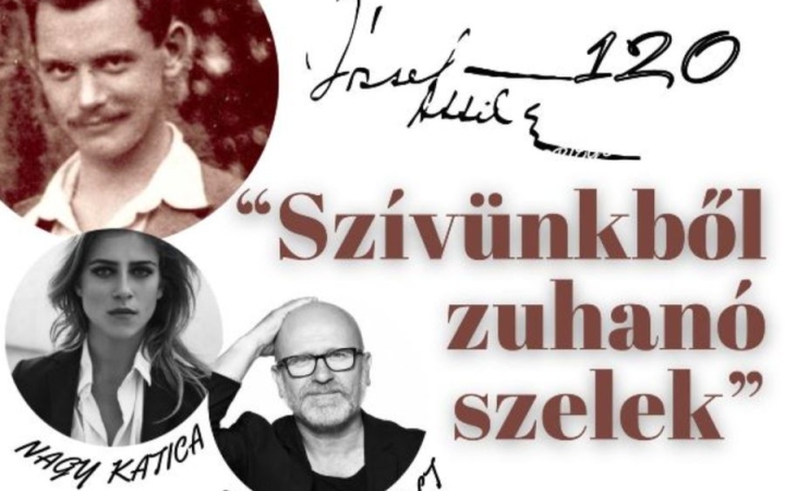 Betegség miatt elmarad a könyvtári "szívzuhanás"