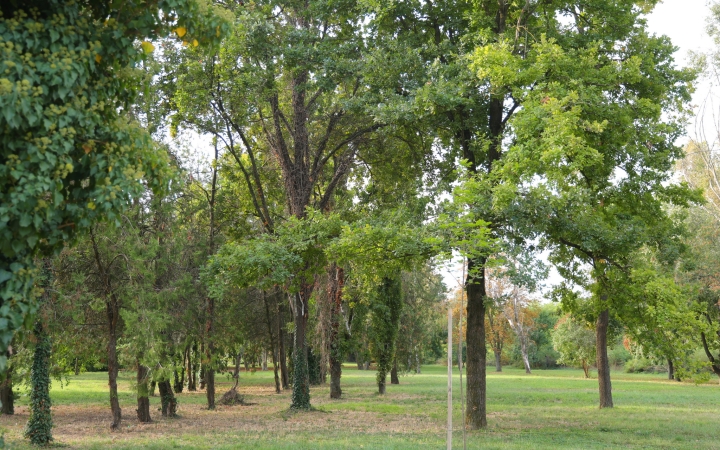 Ősszel sincs megállás, sok a városi munka