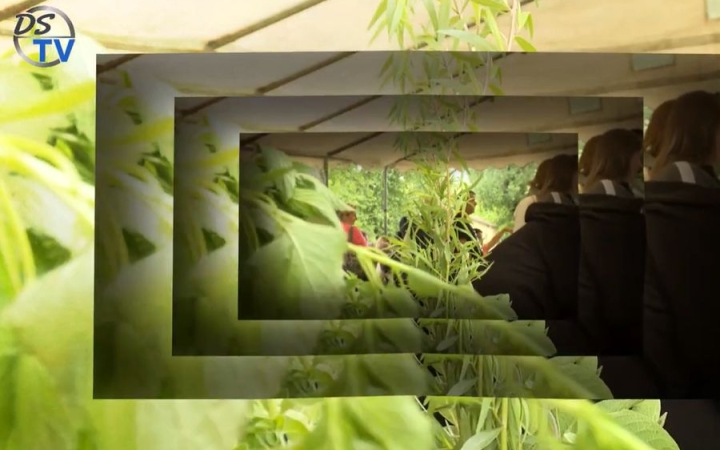 DSTV: lezárult az Urbact projekt