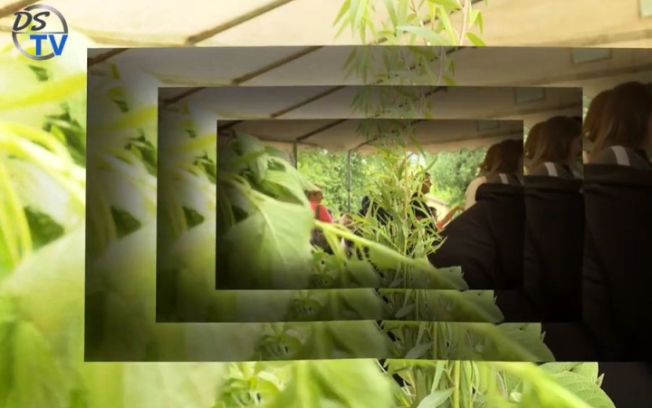 DSTV: lezárult az Urbact projekt