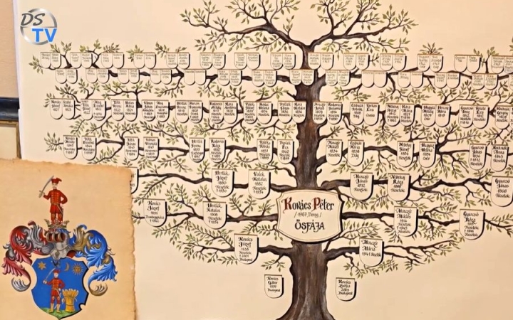 DSTV: a családfák varázsa a Szertelen Házban