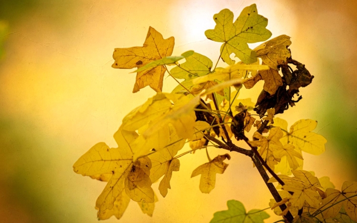 Szeles kezdet után masszív melegedés várható