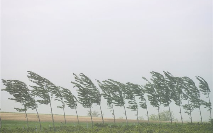 Viharos szél, heves esőzések - újra riasztást adtak ki a megyére