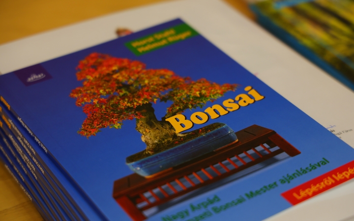 Elmúlt a nyár, remek pályaművek születtek (galériával)