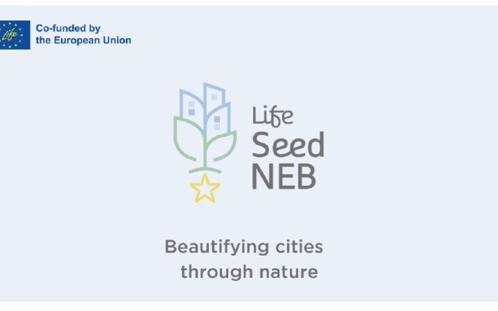 Izgalmas fejlesztés valósul meg a LIFE SeedNEB projekt keretében 