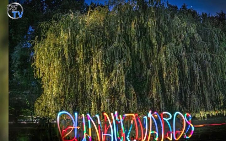 DSTV: a város fái – nyári fotókon