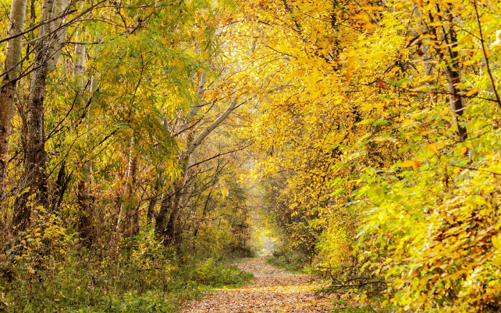 Mozgalmas nyitány után viszonylag nyugalmas őszidő