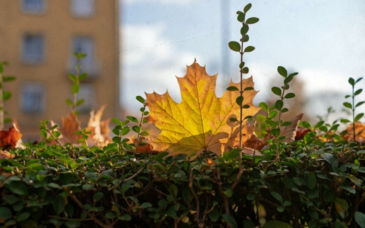 Változóan felhős, csendes őszi hét – a végén lehet csapadék