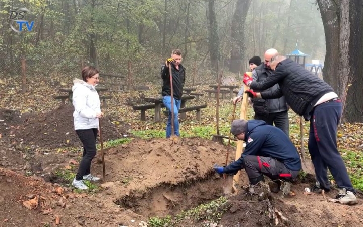DSTV: faültetés az arborétumban