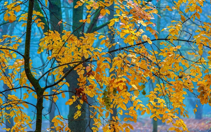 A télből az őszbe, aztán megint vissza