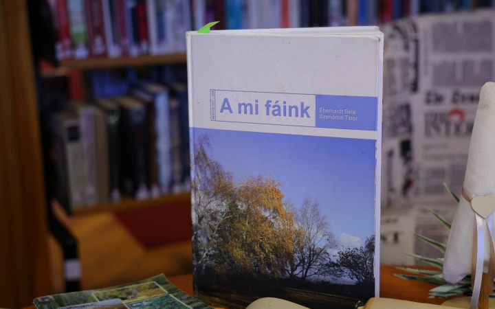 Értékőrzés a könyvtár közreműködésével 