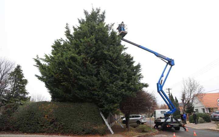 Újabb fa öltött ünnepi köntöst Újtelepen