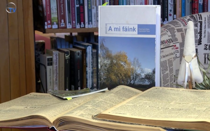 DSTV: zöld értékekről a könyvtárban