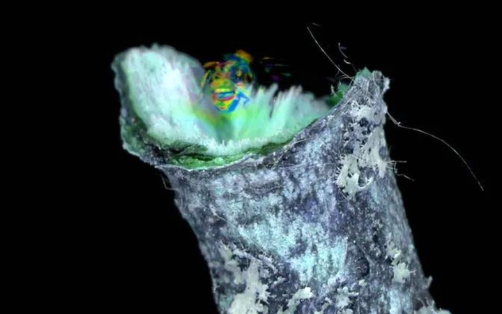 ICA-D: Martinkó Márk "Felülírt protokoll"-ja