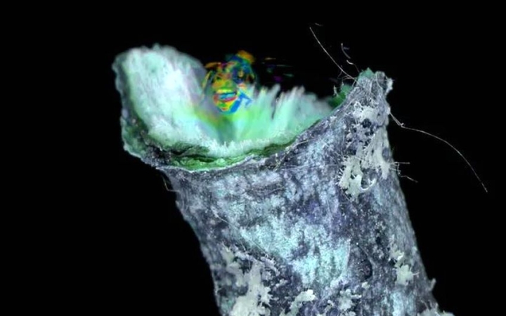 ICA-D: Martinkó Márk "Felülírt protokoll"-ja