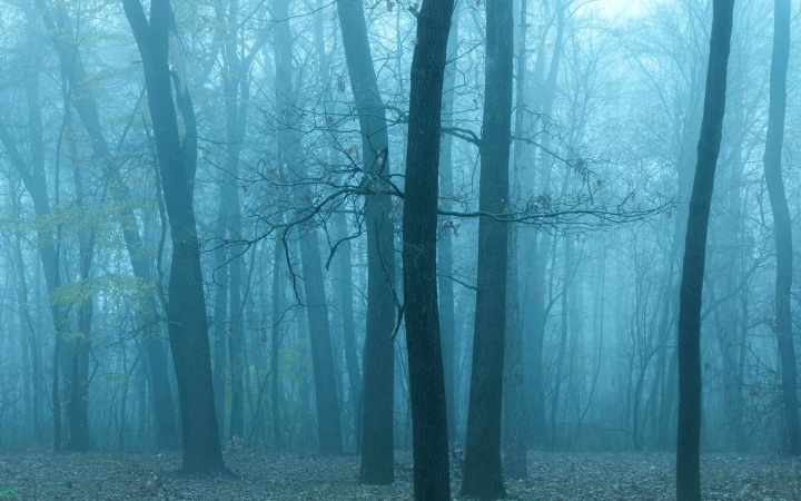 Folytatódik a párás, borús, de viszonylag enyhe idő