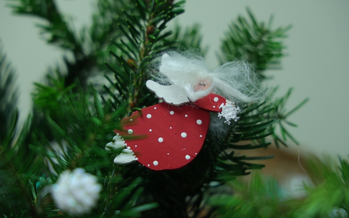 A szeretet ünnepe mindenkihez szól