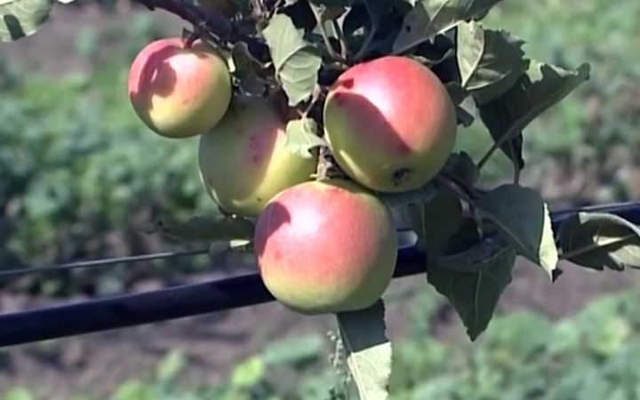 Rekord után visszaesés