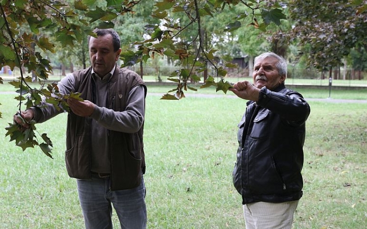 Járjunk nyitott szemmel, vegyük észre a kincseket!