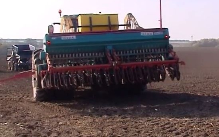 Az időjárás miatt késve, de elvetették az őszi búzát