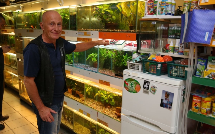 Díszhalak, hüllők, madarak - Negyed évszáda a kisállatok bűvöletében