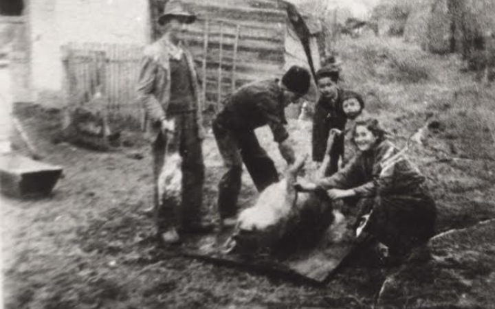 Visszaemlékezés - Azok a régi pentelei disznóvágások