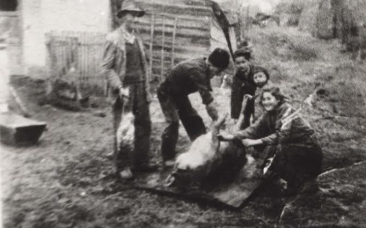 Visszaemlékezés - Azok a régi pentelei disznóvágások