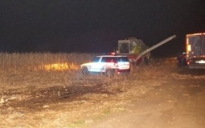 Éjszakai gabonatolvaj