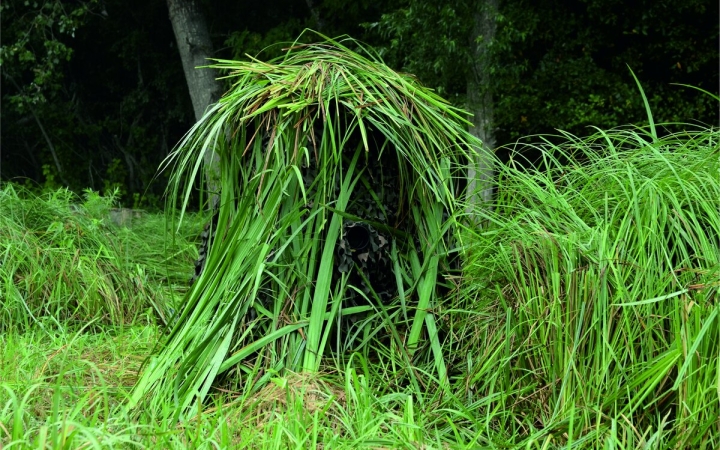 MMK: nyílt nap a fotózásról