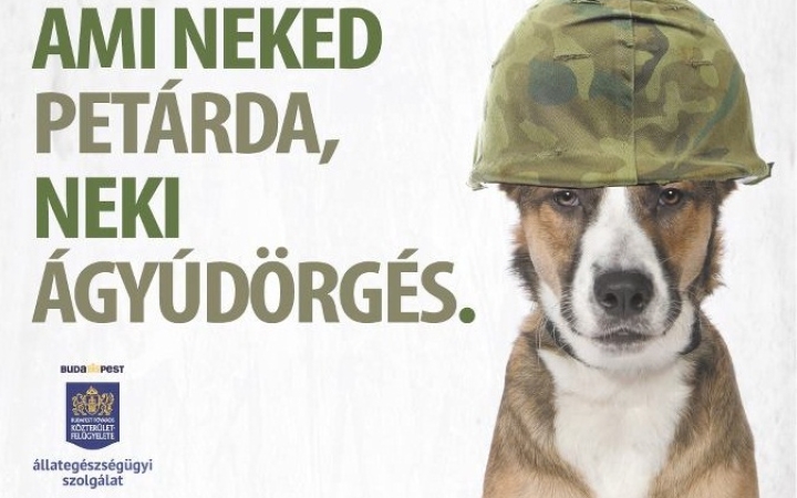 Tipptár a háziállatok szilveszteri védelmére