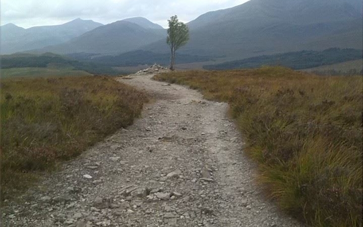 Skót felföldi Úti beszámoló