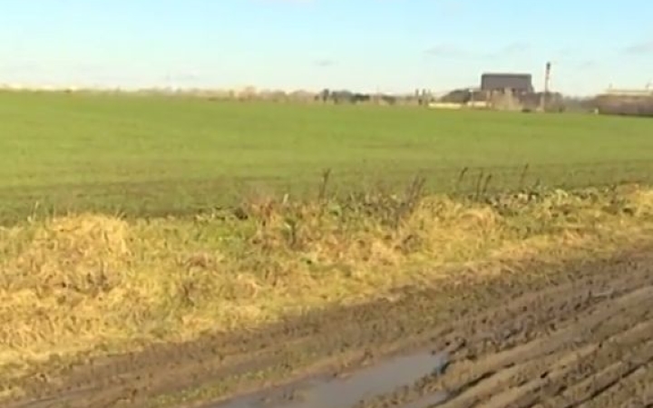 Kártevők pusztítanak a földeken